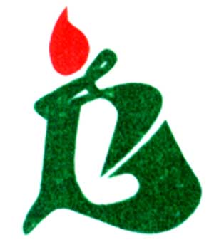 bayulogo.jpg